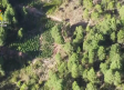 Detenidos por plantar marihuana oculta en zonas boscosas de Huélamo y San Martín de Boniches
