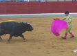 Novillada desde Villaseca de la Sagra (07/09/2026)