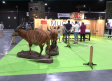FERCATUR reúne 120 expositores reivindicando en Ciudad Real la caza como motor económico