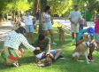 Un 'Desfile Perruno' para fomentar la adopción en Guadalajara