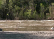 Detectan bacterias fecales resistentes a los antibióticos en el río Tajo a su paso por Toledo