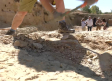Descubren huesos de dinosaurio en el yacimiento de Algora, Guadalajara
