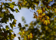Comienza el otoño con temperaturas de agosto, por encima de los 35 grados en Castilla-La Mancha