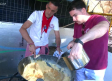 Gachas, callos y vermú flamenco en una jornada de feria de Azuqueca de Henares