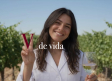 La D.O. Valdepeñas prepara acciones para poner en valor sus vinos