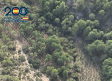 Desmantelan dos plantaciones de marihuana ocultas en pleno monte de la Serranía Baja conquense