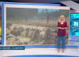 Castilla-La Mancha despierta - 02/10/2026