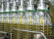 Castilla-La Mancha prevé producir más de 152.000 toneladas de aceite de oliva esta campaña