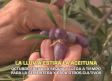 La lluvia frena la sequía y llega a tiempo para la sementera - 05/10/2026