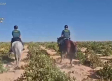 Acompañamos a la Guardia Civil de Sonseca en una jornada de patrulla por el campo