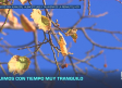 Previsión del tiempo - 09/10/2026