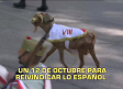 El día En Titulares - 12/10/2026