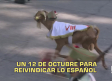 Castilla-La Mancha a las 2 - 12/10/2026