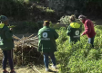 ‘Menudo pisto’: un huerto para fomentar la inclusión en Valdeganga