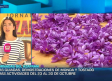 Madridejos se prepara para celebrar las Jornadas del Azafrán