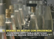 El granel se mueve con prudencia - 22/10/2026