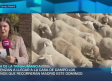 Castilla-La Mancha a las 3 - 23/10/2026