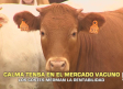 Calma tensa en el mercado vacuno - 23/10/2026