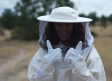 Las abejas de Robledo de Corpes: esenciales para la recuperación de la Sierra Norte