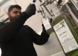 Recogida de aceituna en verde en Vellisca