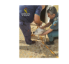El Seprona rescata un perro abandonado sin comida ni bebida en Alcolea de Calatrava
