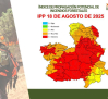 Castilla-La Mancha, en riesgo excepcional de incendios: hay limitaciones temporales de actividades en el medio natural
