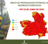 Ola de calor | Riesgo extremo de incendios y avisos por altas temperaturas en Castilla-La Mancha