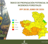 Precaución ante el riesgo de incendio en el sur y oeste de la región y por máximas de 39º en los valles del Tajo y Guadiana