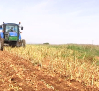 42.800 agricultores recibirán en septiembre las ayudas para la compra de fertilizantes