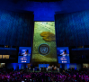 Llamamiento urgente de la ONU a proteger los recursos hídricos