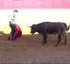 Alfarero de Plata: así fue la primera novillada sin caballos en Villaseca de la Sagra
