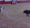 Corrida mixta desde Madridejos (26-03-23)