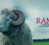 Rams