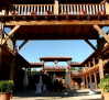 Miramontes en Porzuna