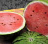 Pérdidas de hasta 7.000 euros por hectárea en el melón y la sandía