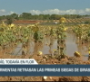 Las tormentas retrasan las primeras siegas de girasol - 21/09/23