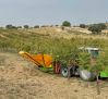 Nueva ayuda de 50 millones para los nuevos jóvenes agricultores en Castilla-La Mancha