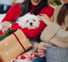 ¿Se puede regalar un perro por Navidad con la Ley de Bienestar Animal?