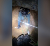 Tres detenidos en un túnel excavado para enganchar a la red eléctrica un cultivo de 9.000 plantas de marihuana en Cabanillas del Campo