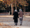 Las pensiones podrían subir un 2,8% en 2025, entre 500 y 600 euros al año