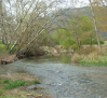CMM emite un documental sobre las reservas naturales del Guadiana destacando su valor ecológico y biodiversidad