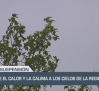 Castilla-La Mancha Fin de Semana a las 2 - 06/04/2024