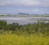 Las Tablas de Daimiel vuelven a inundarse con pozos de emergencia