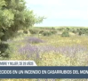 Noticias del día en Castilla-La Mancha: 9 de mayo
