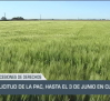 La solicitud de la PAC, hasta el 3 de junio en Castilla-La Mancha - 15/05/24