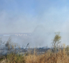 Controlado el incendio forestal declarado en Borox (Toledo)