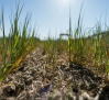Aviso de la Corte internacional: los países deben actuar contra el cambio climático