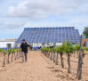 El 75% del regadío en Castilla-La Mancha es "de máxima eficiencia y sostenibilidad porque es riego localizado"