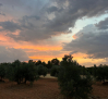 Las lluvias y tormentas vuelven a activar los avisos amarillos en Albacete, Cuenca y Guadalajara