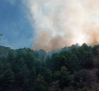 Estabilizado el incendio forestal en el paraje de "Las Hoyas" en Paterna del Madera (Albacete)